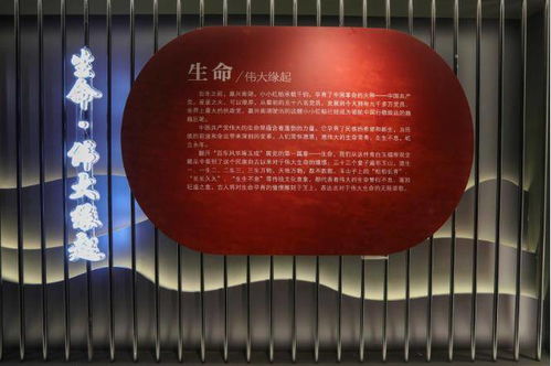 踐行文化公益 提升文化自信 神玉藝術館以傳統文化方式致敬建黨百年